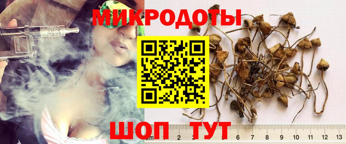 Галлюциногенные грибы GOLDEN TEACHER Саянск