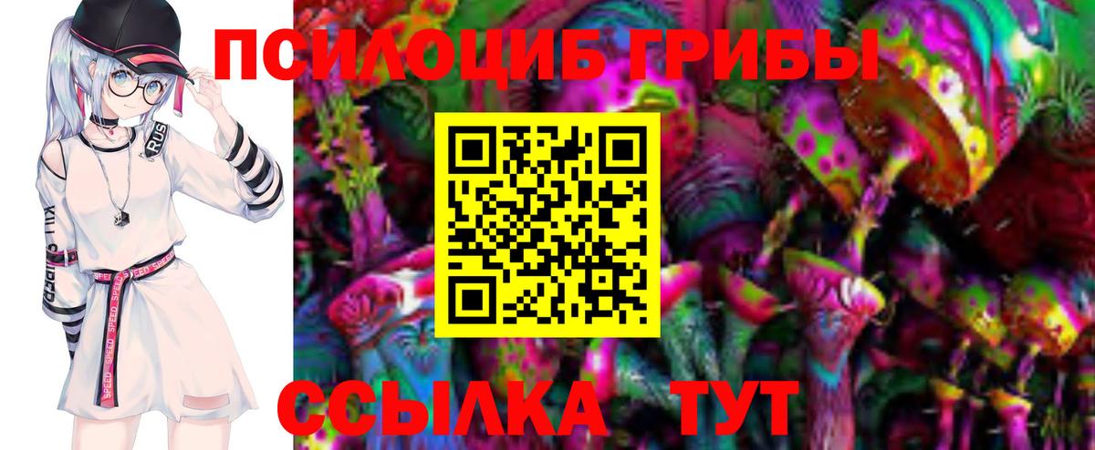 Галлюциногенные грибы мицелий  Вход с VPN  Саянск 
