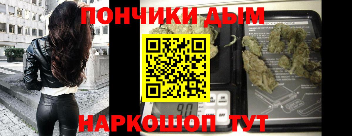 Шишки марихуана план  Конопля сатива  Вход с VPN  Бошки марихуана SATIVA & INDICA  Саянск  Бошки Шишки OG Kush 